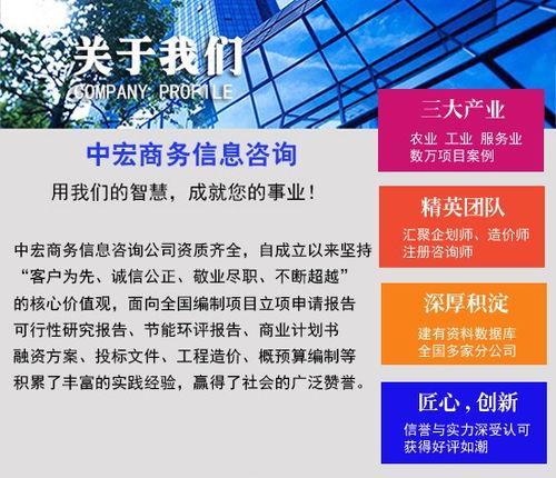 鄒平商業(yè)計(jì)劃書(shū)專業(yè)代寫(xiě)與商務(wù)信息咨詢服務(wù)企劃案